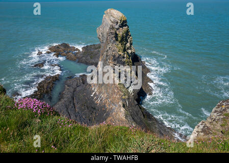 Rugged coastline at Ceibwr Bay near Cardigan in the Pembrokeshire coast national park. Stock Photo