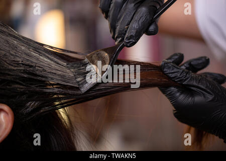 Hair coloring in the salon, hair styling. Professional wizard paints the hair in the salon. Beauty concept, hair care. Stock Photo