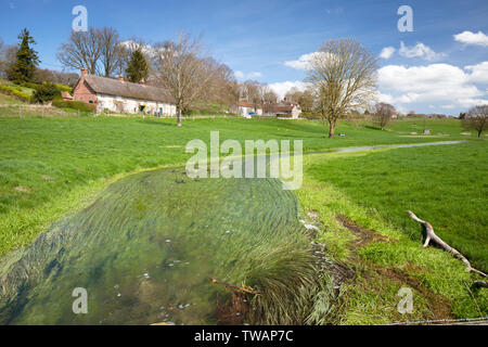 The River Ebble flowing though fields in the village of Fifield Bavant in Wiltshire. Stock Photo