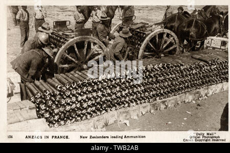 WW1 - New Zealand Anzac Troops loading ammunition, France Stock Photo