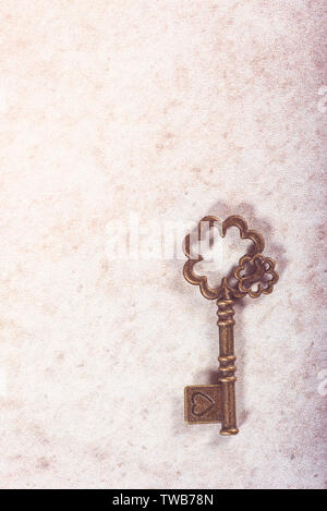 Decorative keys of different sizes and styles on grey background Stock Photo