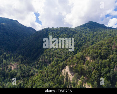 Aerial view. Summer mountain landscape. Forested mountains and clouds. Stock Photo