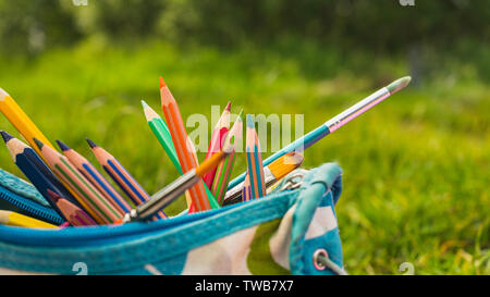 Back to school concept.Colorful pencils and painting brushes in pencils pouch on natural green grass background Stock Photo
