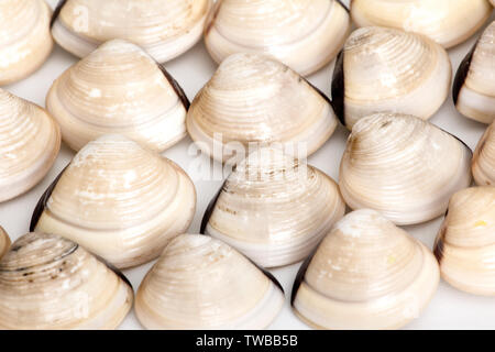 Baibei Stock Photo
