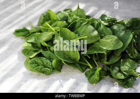 Baby spinach, fresh green leaves on the kitchen counter. Stock Photo