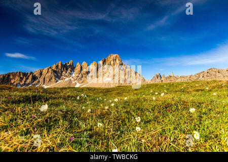 Monte Paterno (Paternkofel) in spring, Sesto Dolomites Natural Park, Trentino-Alto Adige/South Tyrol, Italy Stock Photo