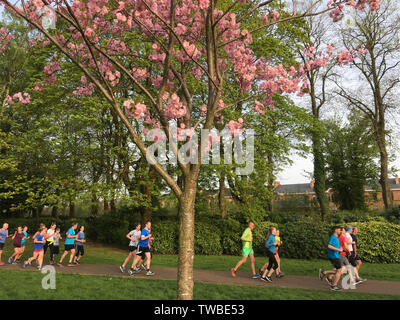 Bellahouston Harriers running club training night, in Maxwell Park, in Glasgow, Scotland, on 23 April 2019. Stock Photo