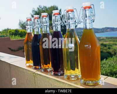 Six colorful glass bottles in front of the sea Stock Photo