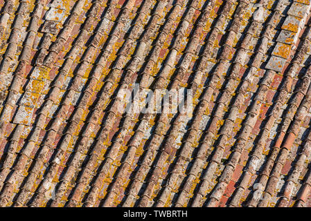 Old, weather-worn tiled roof of a house in Pisa, Tuscany, Italy Stock Photo
