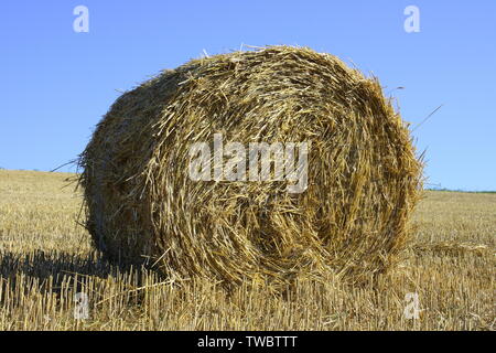 Large round straw roll with blue sky in background Stock Photo