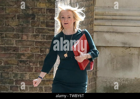 Chief Secretary to the Treasury Liz Truss arrives at Downing Street to attend the weekly Cabinet meeting. Stock Photo