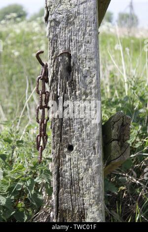 colour image showing detail of a wooden fence post with rusty chains attached against a green grass background Stock Photo