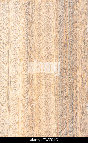 Green sandalwood wood textured background