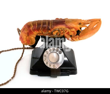 Lobster Telephone by Salvador Dali (1904-1989),1936 Stock