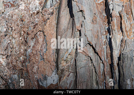Natural rock splitting in layers, rock has various colors forming an abstract drawing with vertical lines. Can be used as background. Stock Photo