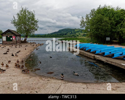 Llangorse Lake, Brecon Powys Stock Photo