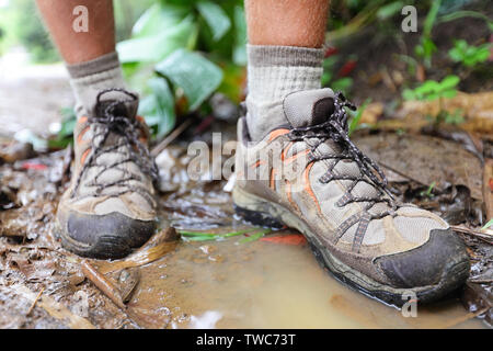 Hiking shoes on hiker in water puddle in rainforest. Man hikers hike boots in closeup. Male feet. Stock Photo