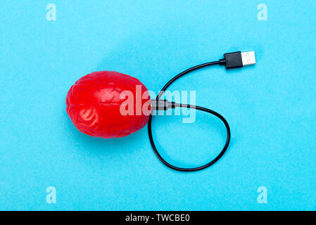 A red brain on a blue background and a USB cable connected to it. The concept of dependence in thinking and information. Stock Photo