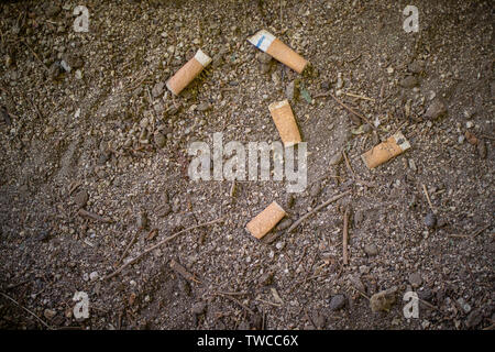 Five discarded cigarette ends on dirt path in park, Madrid, Spain Stock Photo