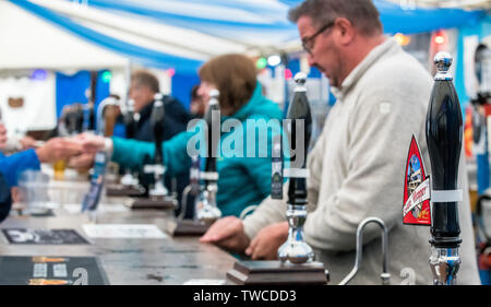Tempory bar setup in a marquee at a music festival. Stock Photo