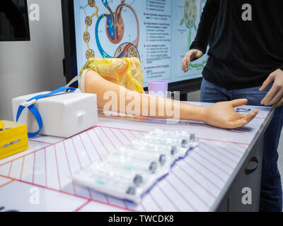 Human internal organs dummy, training dummy, detail of the face, thorax ...