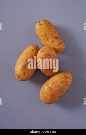 Farm fresh raw washed potatoes on grey ready to be used for cooking viewed top down with copy space in vertical format Stock Photo