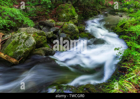 Summer mountain colors of ' Old River ' , Stara reka reserve, located at Central Balkan national park in Bulgaria Stock Photo