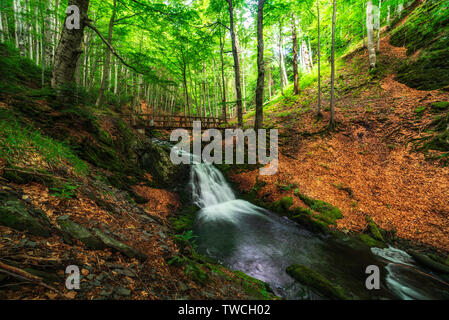 Summer mountain colors of ' Old River ' , Stara reka reserve, located at Central Balkan national park in Bulgaria Stock Photo