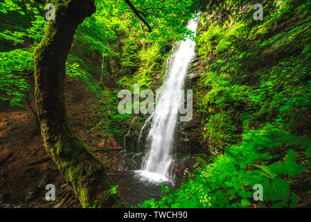 Summer mountain colors of ' Old River ' , Stara reka reserve, located at Central Balkan national park in Bulgaria Stock Photo