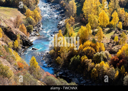 A beautiul autumnal landscape with the Inn river. Engadine valley in Switzerland with river and trees in fall.