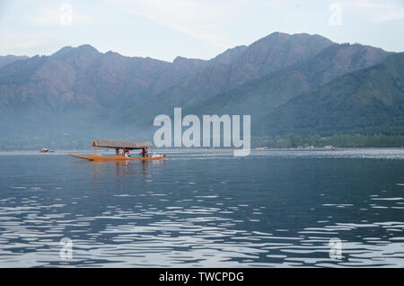 Pleasant weather, Majestic light and the Peaceful Shikara ride, that's what  heaven on earth looks like at the Dal Lake in Srinagar (Kashm... | Instagram