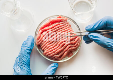 Laboratory studies of artificial meat. Minced meat in Petri dish under the supervision of a scientist in gloves. View from above. Chemical experiment. Stock Photo