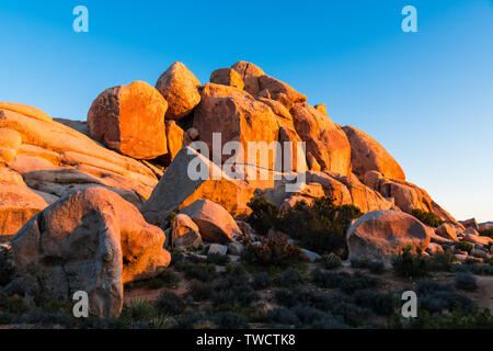 Rock formation of huge sandstone boulders glowing in the golden light of sunset - Joshua Tree National Park, California Stock Photo