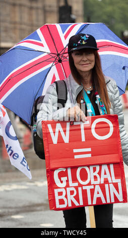 London, UK. 19th June 2019. Brexiteer outside UK Parliament on Parliament Square on a rainy afternoon promoting joining WTO. Credit: Joe Kuis / Alamy News Stock Photo