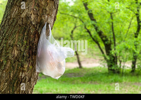 plastic bag hanging on tree trunk in summer park. environment and plastic concept. Stock Photo