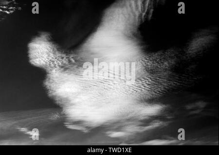 Cirrocumulus clouds with abstract shapes and the appearance of motion Stock Photo