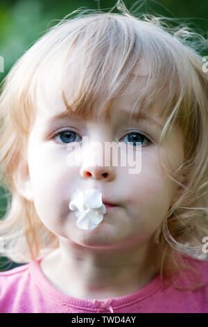 little toddler gray-eyed caucasian girl face closeup with white flower in the mouth Stock Photo