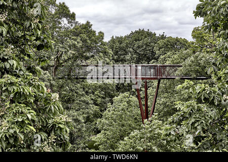 18 metres above the ground, the Treetop Walkway is a chance to get closer to Kew’s trees Stock Photo