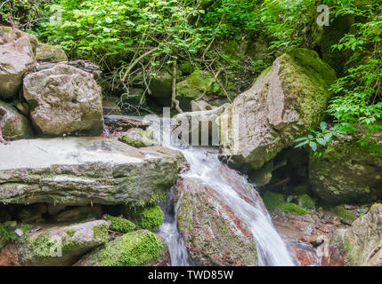 The creek flows down between the large stones. Selective focus. Stock Photo