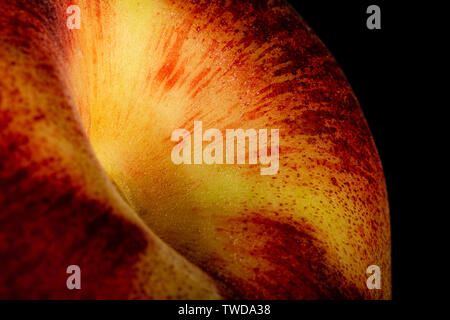 Macro of the top section of a peach with a deep depth of field on a Black background.  The color is vibrant and the fine fuzz is visible.  Room for co Stock Photo