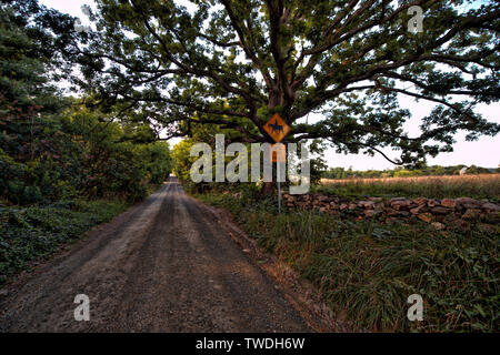 UNITED STATES - July 3, 2017: Western Loudoun's historic dirt road known as Yellowschool House Road outside of the Village of Bluemont. Many of the di Stock Photo