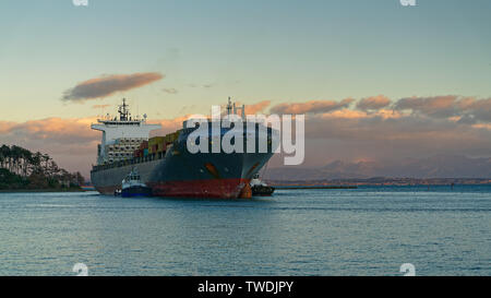 Two pilot vessels nudge a container ship through the cut and into Port Nelson, New Zealand. Stock Photo