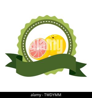 tropical fruits design Stock Vector