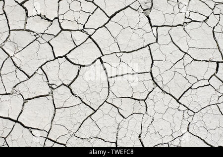 Dry bleached earth in large cracks on a sunny day close-up Stock Photo