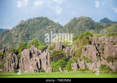 Maros, Indonesia - June 2018 : Karst landscape with limestone domes and rice field. Stock Photo