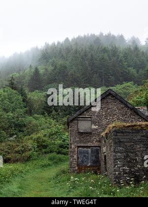 An abandoned old stone cabin in the woods on a misty day Stock Photo