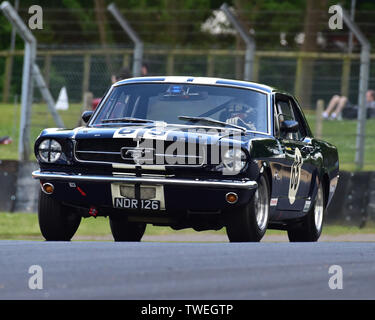Nicolas Ruddell, Ford Mustang, Masters pre-66 touring cars, Masters ...