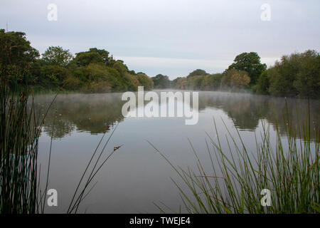 Hammer Pond in early morning mist Stock Photo