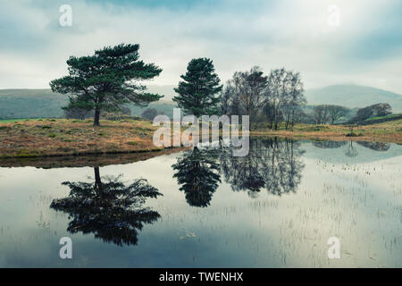 Beautiful landscape image of moody storm clouds over Kelly Hall Tarn in Lake District during late Autumn Fall afternoon Stock Photo