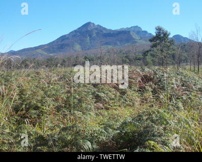 George Peak, Outeniqua Mountains Stock Photo